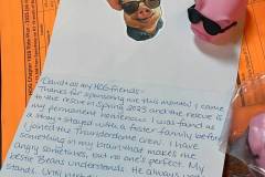 00-v4fpPcSRpaKptBGOizoYKnvk-jj8ZoV9197sLROu3OKcXXFrIXQoLXBrBMRG5eQ7qCe7ffHDJpwno-pEcjtJnw