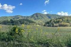 00-v4fpPcSRpaKptBGOizoYKnvk-jj8ZoV9197sLROu3OI4uVWbKaS2IQ8FpAEI1V7C4xJ2Twu75QF_jizMkB1ZdA