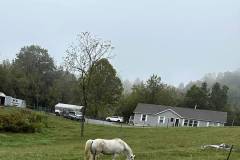 00-v4fpPcSRpaKptBGOizoYKnvk-jj8ZoV9197sLROu3OK8sgLEP8Dzlo-I6WxLGV-yqCe7ffHDJpwno-pEcjtJnw