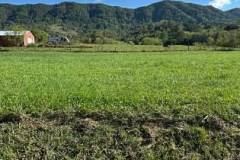 00-v4fpPcSRpaKptBGOizoYKnvk-jj8ZoV9197sLROu3OLK72ZpfIqQebbk54MQosWd4xJ2Twu75QF_jizMkB1ZdA