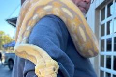 00-v4fpPcSRpaKptBGOizoYKnvk-jj8ZoV9197sLROu3OImxJEqYguEJPH5HMRoiZ8FV7ntXQOewWgszVPDOQPWWw