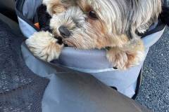 00-v4fpPcSRpaKptBGOizoYKnvk-jj8ZoV9197sLROu3OJiFc5_QZcvJgIaE5kxy4QcVZV51t4MhjbEwRNyGscOgg