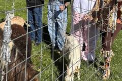 00-v4fpPcSRpaKptBGOizoYKnvk-jj8ZoV9197sLROu3OLnapEoPZpd5DvCKqqgCSAkKwg5ydwHipy3aIZBf9dNYQ